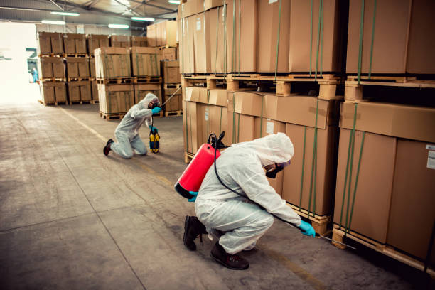 Best Pest Control Near Me in Horseheads North, NY