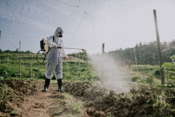 Best Best Pest Control Companies  in Horseheads North, NY