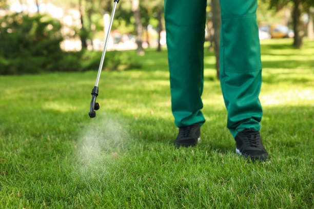 Best Spider Control Near Me  in Horseheads North, NY