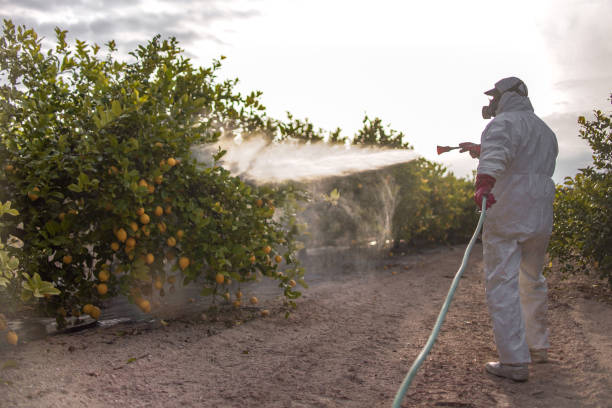 Best Affordable Pest Control Services  in Horseheads North, NY