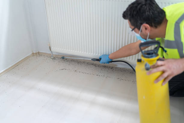 Best Best Pest Control Companies  in Horseheads North, NY