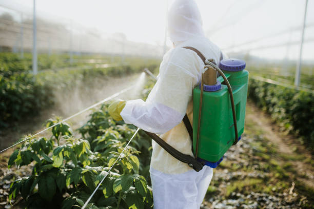 Best Best Pest Control Companies  in Horseheads North, NY